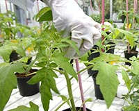 Representative picture of the project